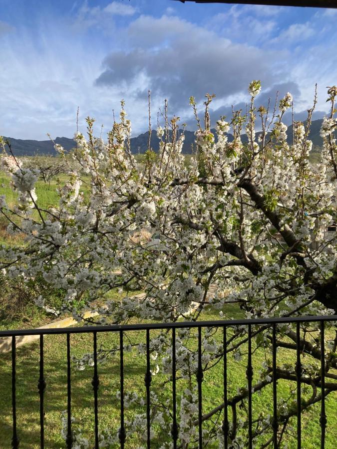 Вилла Mirada A Gredos Канделеда Экстерьер фото
